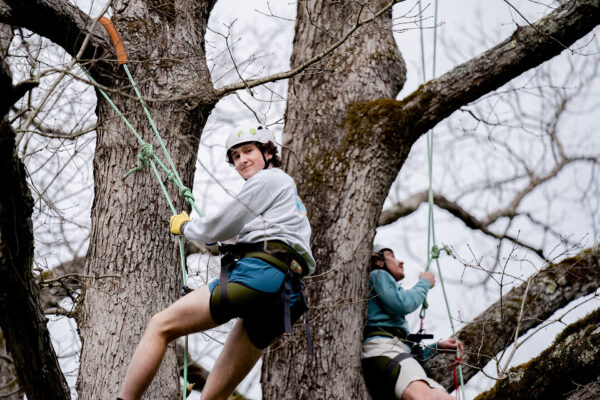 a man climbing a tree