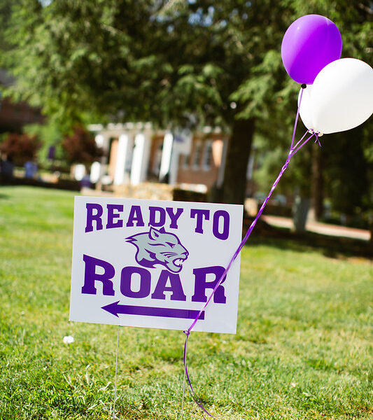 a sign with balloons attached to it