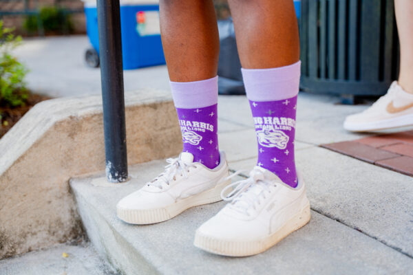 Young Harris College socks