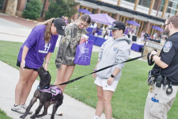 Harris - therapy dog
