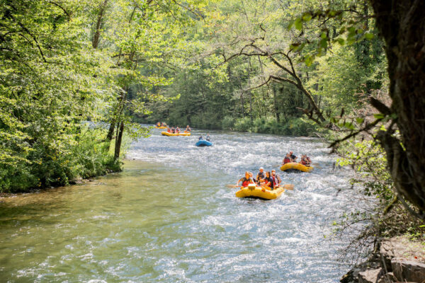 a group of people in rafts on a river