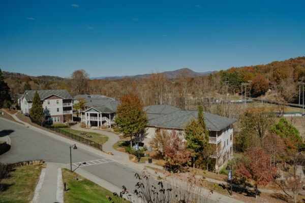 a group of houses in a neighborhood